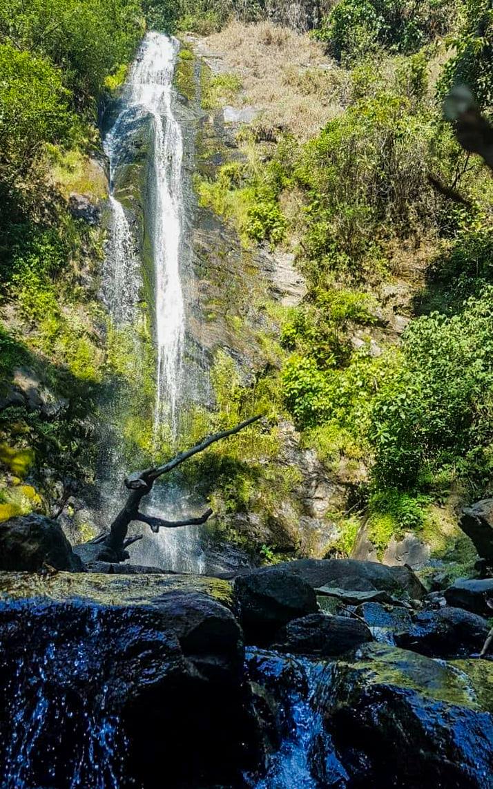 174125788_2883038315276445_5332176752958824858_n